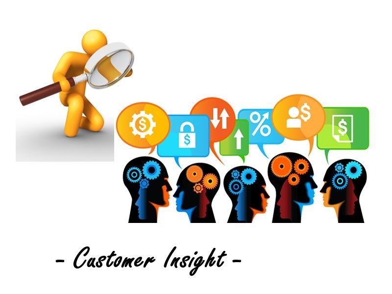 What is Customer Insight